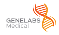 Main Logo